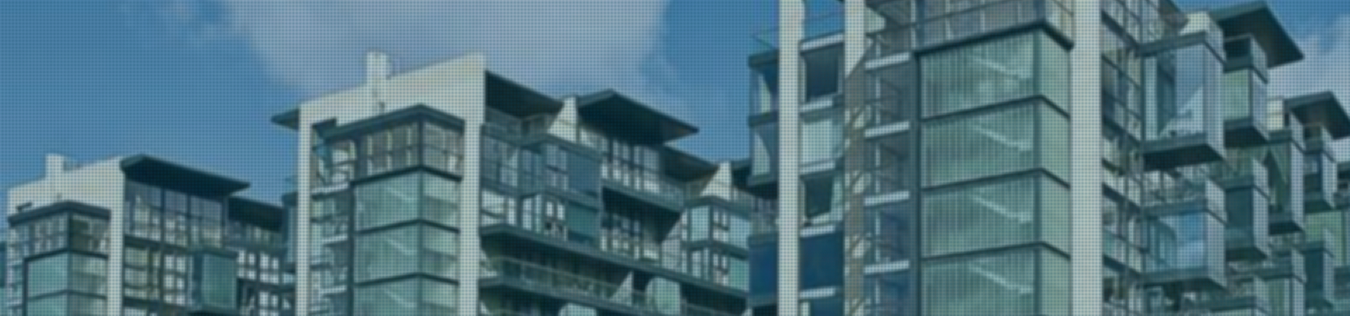 Directors and Officers Insurance and Policies