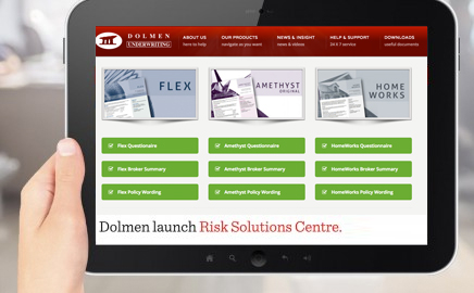 Dolmen Underwriting Launch Risk Solution Centre